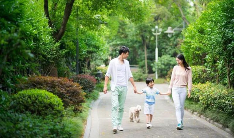 跟团游：旅游体验的便捷升级